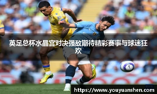 英足总杯水晶宫对决强敌期待精彩赛事与球迷狂欢