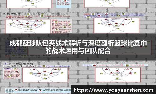 成都篮球队包夹战术解析与深度剖析篮球比赛中的战术运用与团队配合